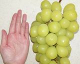 自家製☆干しぶどう作り方16写真