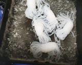 お弁当☆結び白滝の辛旨香味ネギ炒め☆作り方2写真