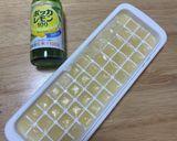ポッカレモン★冷凍保存★赤・白ワインも作り方1写真