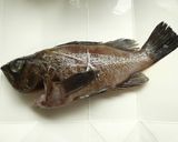メバルの煮付け作り方1写真