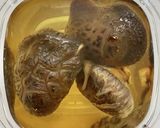 松茸の茶碗蒸し作り方1写真