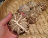 簡単＆低コスト＆使いやすい干し椎茸を作る作り方2写真