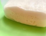 レーズン＆巨峰＆ジュースの自家製酵母作り方22写真