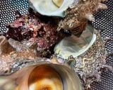 さざえご飯作り方1写真