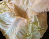 チーズをかけて〜圧力鍋でロールキャベツ♪作り方1写真