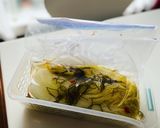 ジップロックで簡単「自家製白菜漬け」作り方6写真
