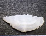 アズキマスの出汁で炊いたムカゴご飯作り方4写真