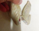 鶏肉のさっぱり煮作り方2写真