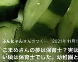 簡単!!白だしで♪胡瓜の浅漬け作り方8写真