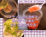 自家製ぶどう酢作り方9写真