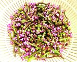 【超絶簡単】つるむらさきの花と実のお浸し作り方2写真