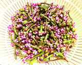 【超絶簡単】つるむらさきの花と実のお浸し作り方2写真