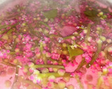 【超絶簡単】つるむらさきの花と実のお浸し作り方4写真