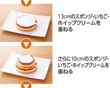 クリスマスツリーケーキ作り方7写真