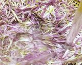 新しい味発見!キクと塩昆布和え作り方7写真