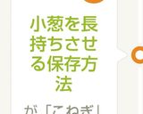 小葱を長持ちさせる保存方法作り方6写真