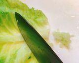 ロールキャベツ鶏トマト風味作り方10写真