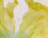 ロールキャベツ鶏トマト風味作り方15写真