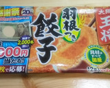 大阪王将の冷凍餃子を玉子焼き器でキレイに作り方1写真