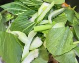 青梗菜と豚バラ野菜炒め作り方9写真