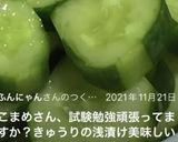 簡単!!白だしで♪胡瓜の浅漬け作り方9写真