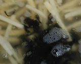 リカちゃん♡わかめとたけのこのすまし汁作り方10写真