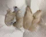 ソコボウズを貰った作り方4写真