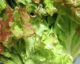 シャキッと甦る♪長持ち野菜の洗い方40度作り方2写真