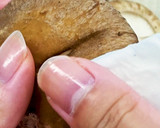 干し椎茸としいたけパウダーの作り方作り方1写真