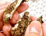 干し椎茸としいたけパウダーの作り方作り方8写真