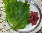 簡単　チーズのマヨ梅和え作り方1写真