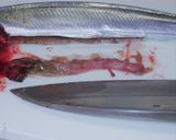 日本の秋　秋刀魚のアヒージョ作り方3写真