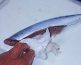 日本の秋　秋刀魚のアヒージョ作り方6写真