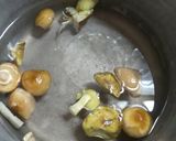 ナラタケとシモコシの湯豆腐風作り方3写真