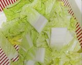 麺つゆに漬けるだけ！白菜漬物作り方1写真