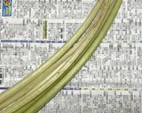 フキのアク抜き作り方1写真