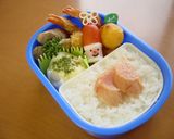 ナエトル☆お弁当（キャラ弁）作り方7写真