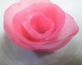 ハヤトウリで作る紅白のお花作り方7写真