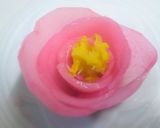 ハヤトウリで作る紅白のお花作り方8写真
