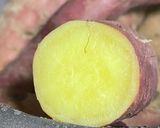 農家の唐いも(さつまいも)ヘコ焼き作り方1写真