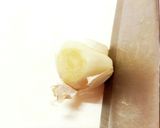 鶏手羽元とにんにくのあったかスープご飯☆作り方4写真