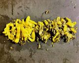 高菜漬けの高菜炒め♡常備菜♡作り方5写真