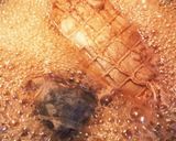 簡単☆作り置き☆豚ブロックで紅茶煮作り方2写真