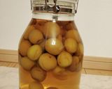 泡盛で自家製梅酒作り方9写真