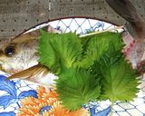 イサキの姿造り作り方3写真
