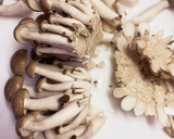 きのこだけ☆美味しい簡単マヨネーズ焼き☆作り方1写真