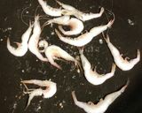 【超簡単】手作り白エビ姿せんべい作り方2写真