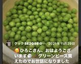 簡単♡グリーンピースの美味しい茹で方作り方6写真