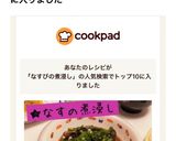 【超簡単】なすの煮浸し作り方6写真