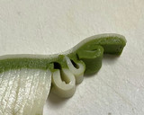 松の飾り付けかまぼこ飾り切りでおせち楽し作り方6写真